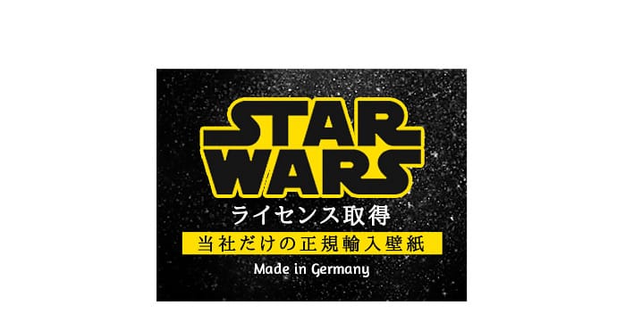 ドイツ製壁紙【8-455】スターウォーズ STAR WARS Tunnel